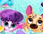 Картинка Cute Pet Friends